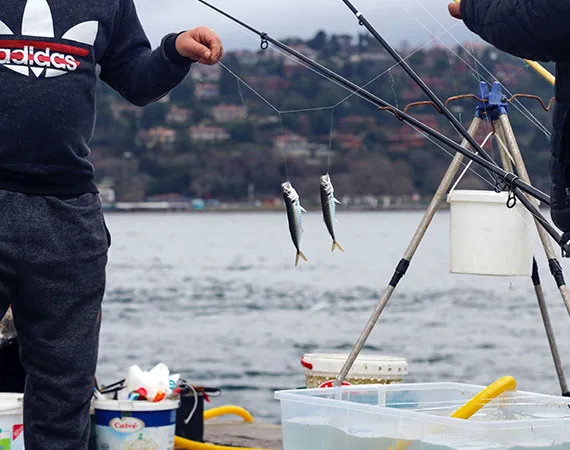 Hand Fishing - 华体会