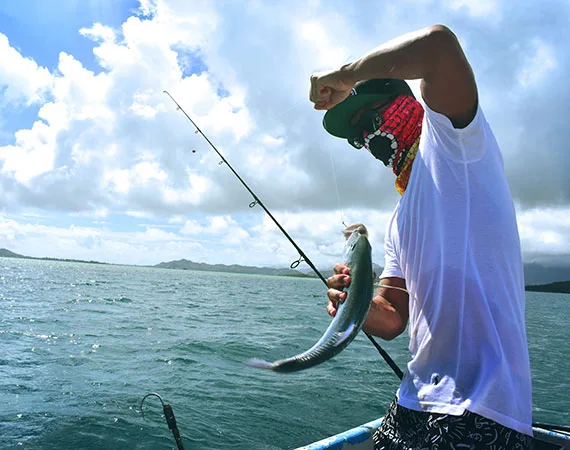 Hand Fishing - 华体会