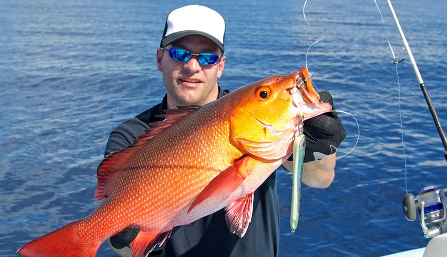 Service Overview - 华体会