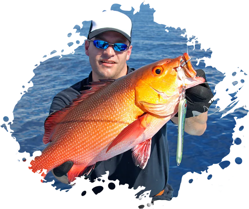 Modern Design Exotic Fishinizerry - 华体会